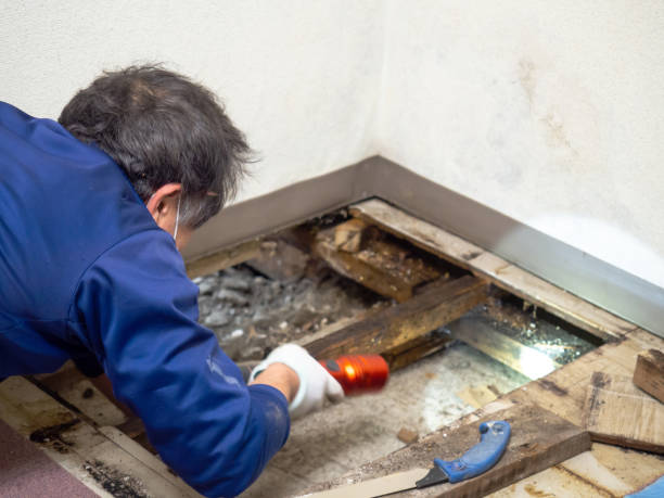 Best Mold Testing  in Bren Bow, OK