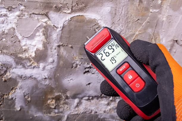 Best Same-Day Mold Removal  in Bren Bow, OK