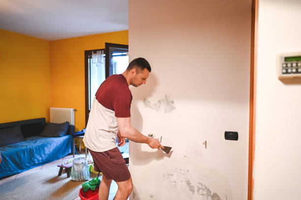 Best Best Mold Removal Companies  in Bren Bow, OK