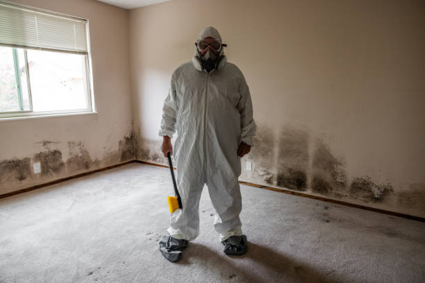 Best Professional Mold Removal  in Bren Bow, OK