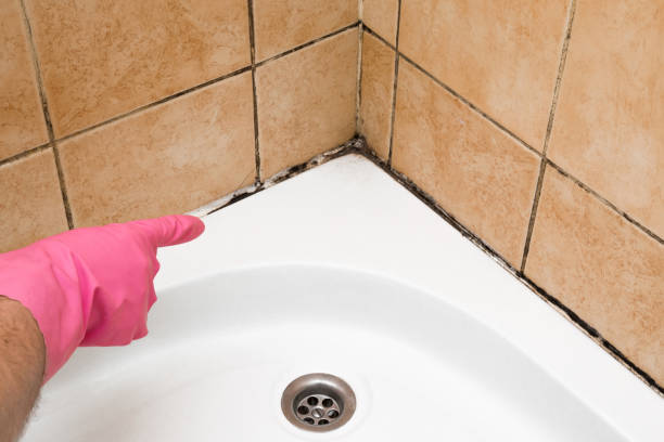Best Mold Damage Repair  in Bren Bow, OK